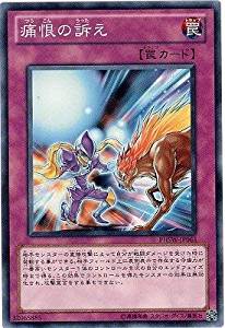 痛恨の訴え[ﾚｱ](PHSW-JP063)