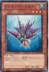 ドリル・バーニカル[ﾉｰﾏﾙ](GENF-JP007)