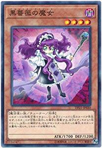 黒薔薇の魔女[ﾉｰﾏﾙ](DP21-JP030)