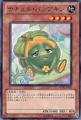 ナチュル・パンプキン[ﾉｰﾏﾙ](STBL-JP031)