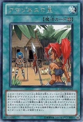 アマゾネスの里[ﾚｱ](DREV-JP053)