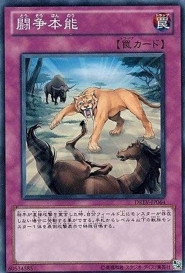 闘争本能[ﾉｰﾏﾙ](DREV-JP064)