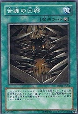 苦痛の回廊[ﾉｰﾏﾙ](TSHD-JP062)