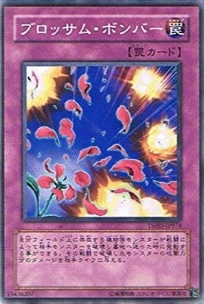 ブロッサム・ボンバー[ﾉｰﾏﾙ](TSHD-JP074)