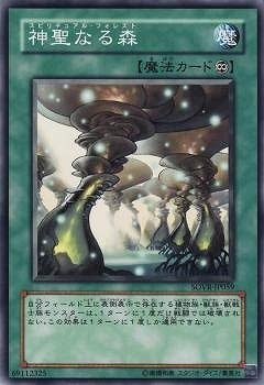 神聖なる森[ﾉｰﾏﾙ](SOVR-JP059)
