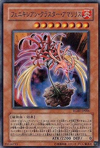 フェニキシアン・クラスター・アマリリス[ﾉｰﾏﾙ](RGBT-JP006)