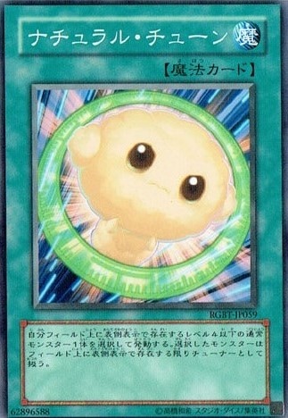 ナチュラル・チューン[ﾉｰﾏﾙ](RGBT-JP059)