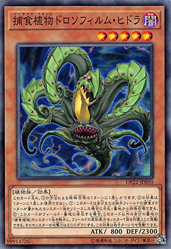 捕食植物ドロソフィルム・ヒドラ[ﾉｰﾏﾙ](DP22-JP050)