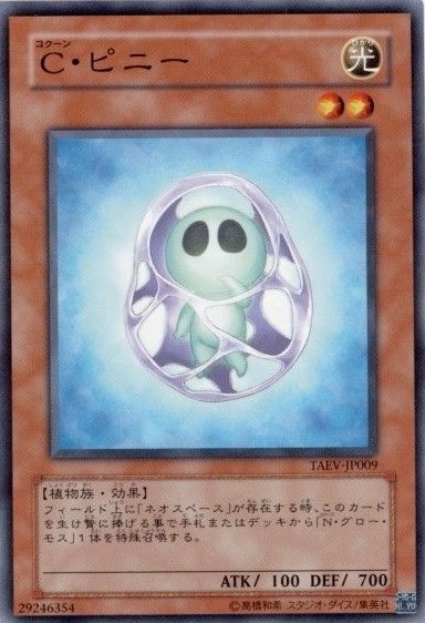 C・ピニー[ﾉｰﾏﾙ](TAEV-JP009)