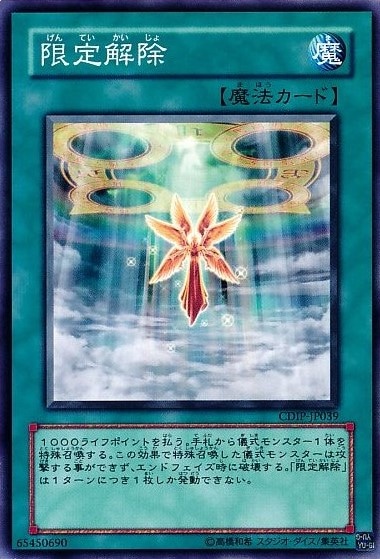 限定解除[ﾉｰﾏﾙ](CDIP-JP039)