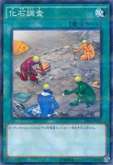 化石調査[ﾉｰﾏﾙﾊﾟﾗﾚﾙ](SR04-JP022)