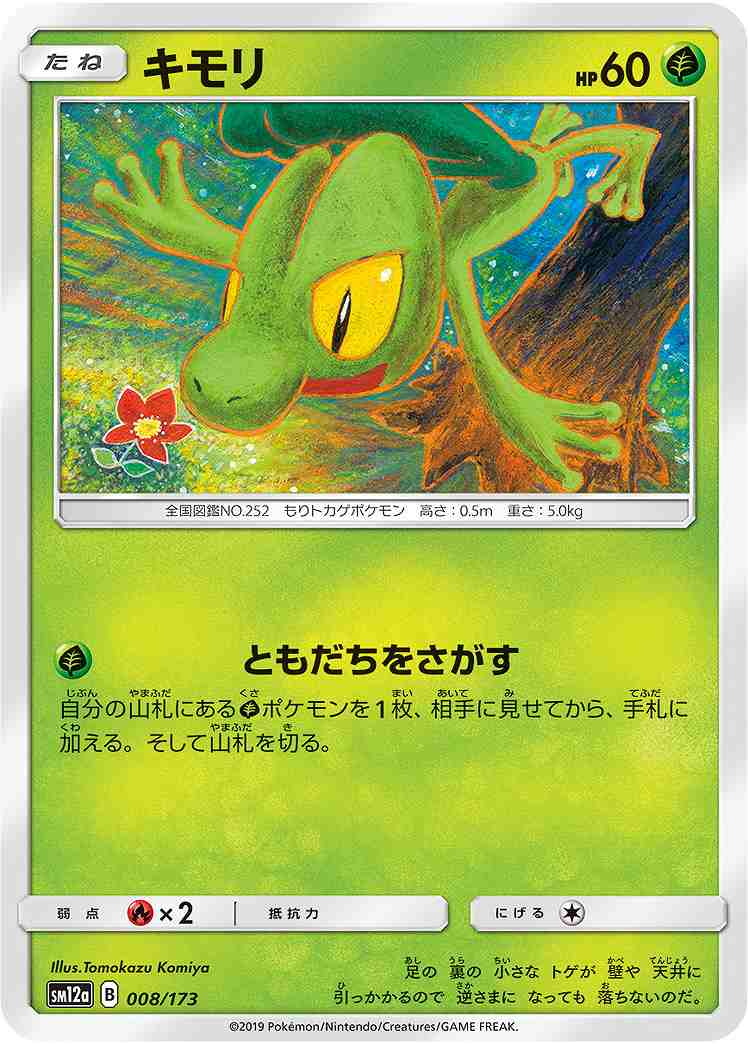 キモリ☆ キモリ スター 1ED キモリ☆（スター）【1ED有無で査定額変動】-旧ポケモンカード