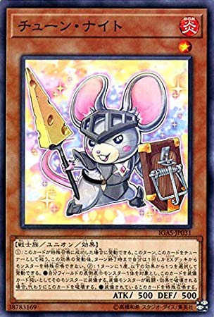 チューン・ナイト[ﾉｰﾏﾙ](IGAS-JP031)