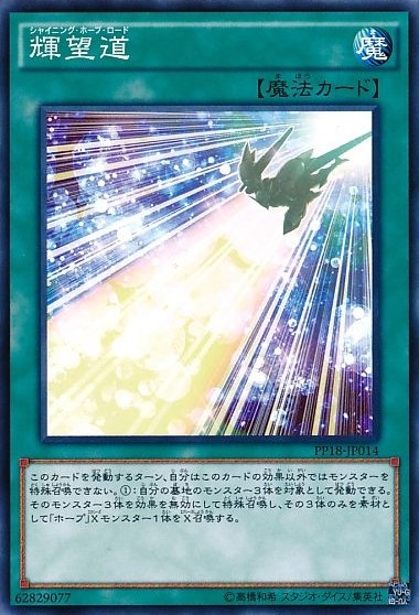 輝望道[ﾉｰﾏﾙ](PP18-JP014)