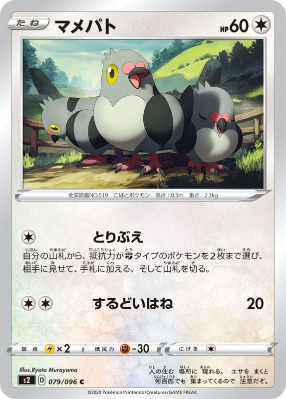 マメパト[C](S2-079/096)