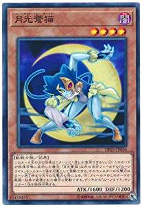 【状態B】月光蒼猫[ﾉｰﾏﾙ](DP21-JP050)