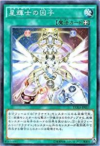 星因士