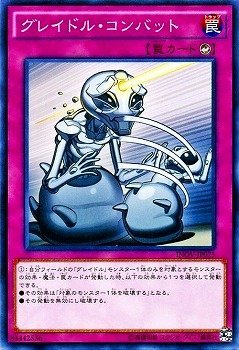 【状態B】グレイドル・コンバット[ﾉｰﾏﾙ](INOV-JP075)