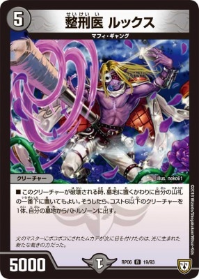 整刑医 ルックス[R](RP06-19)