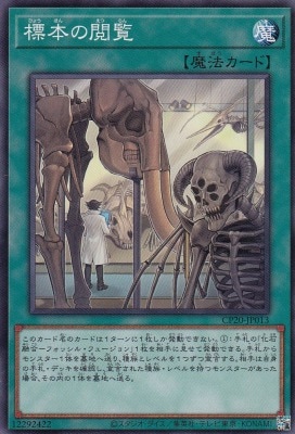 標本の閲覧[ﾉｰﾏﾙ](CP20-JP013)