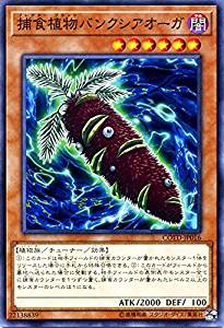 【状態B】捕食植物バンクシアオーガ[ﾉｰﾏﾙ](COTD-JP016)