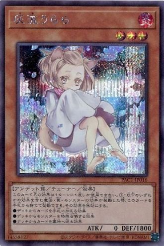 遊戯王 灰流うらら シークレット 絵違い　20枚 灰流うらら《イラスト違い》[ｼｰｸﾚｯﾄ](PAC1-JP016) | 遊戯王,シングル