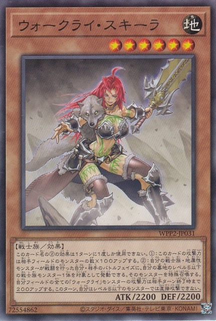 ウォークライ・スキーラエラー極大