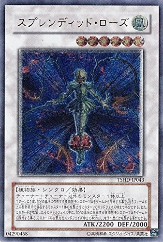 【状態B】スプレンディッド・ローズ[ｱﾙﾃｨﾒｯﾄ](TSHD-JP043)
