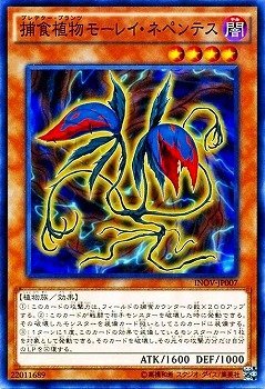 【状態B】捕食植物モーレイ・ネペンテス[ﾉｰﾏﾙ](INOV-JP007)