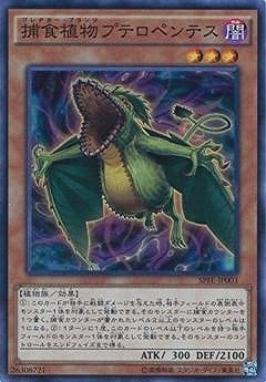 【状態B】捕食植物プテロペンテス[ﾉｰﾏﾙ](SPFE-JP003)