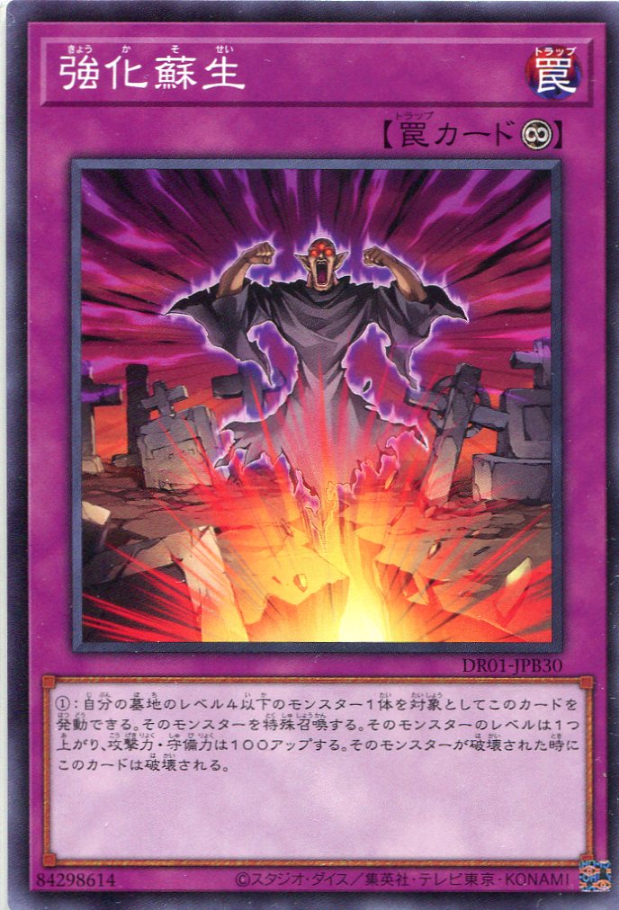 強化蘇生[ﾉｰﾏﾙ](DR01-JPB30)