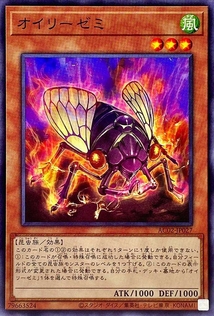 オイリーゼミ[ﾉｰﾏﾙ](AC02-JP027)