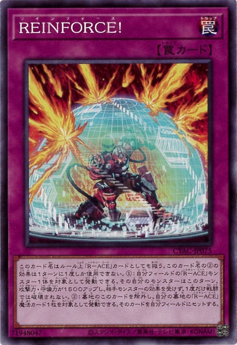 REINFORCE![ﾉｰﾏﾙ](CYAC-JP075)