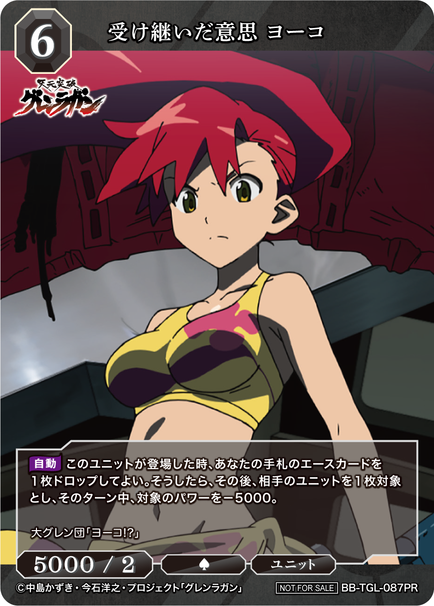 受け継いだ意思 ヨーコ [PR](BB-TGL-087PR)