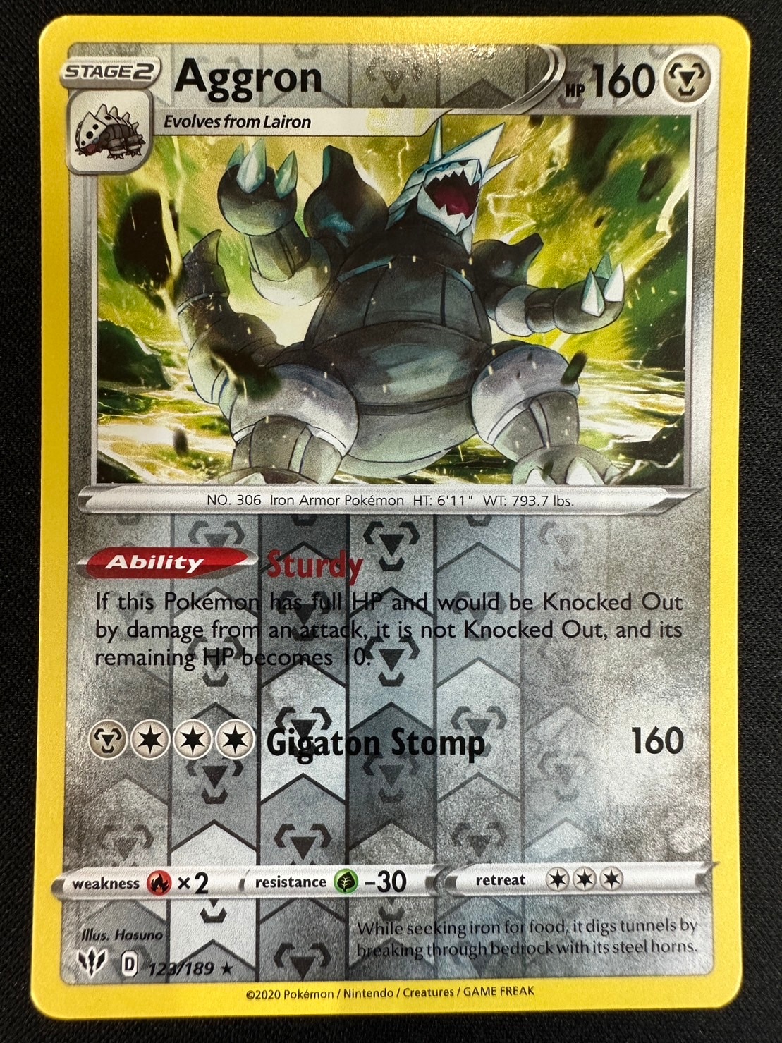 【状態B】Aggron/ボスコドラ《英語》[](123/189)