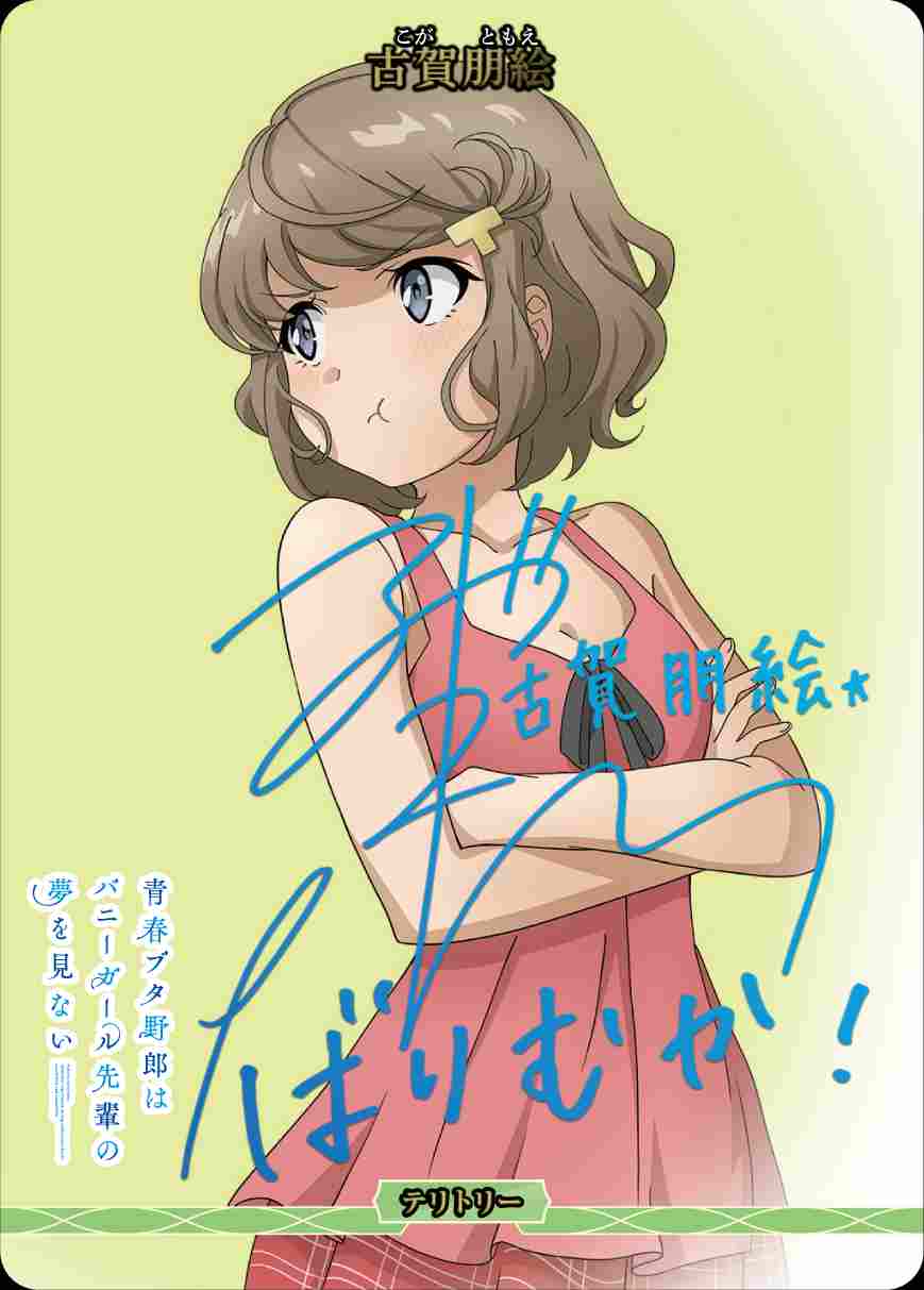 青春ブタ野郎はバニーガール先輩の夢を見ない/キャラファイングラフ/古賀朋恵 Amazon.co.jp: 青春ブタ野郎はバニーガール先輩の夢を見ない