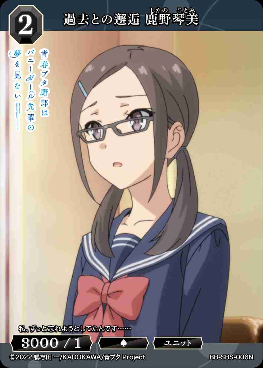 過去との邂逅 鹿野琴美 [N](BB-SBS-006)