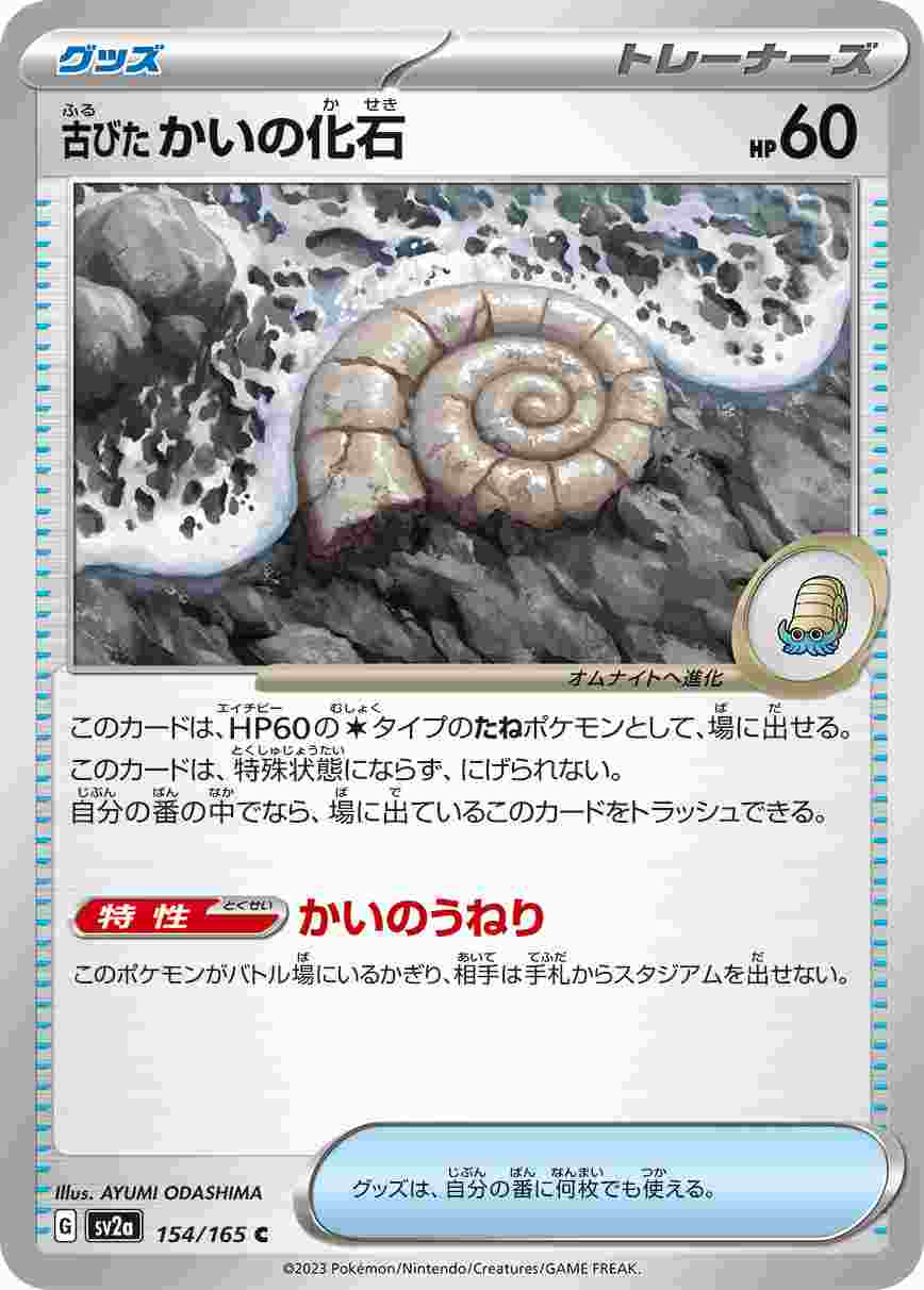 【状態B】古びたかいの化石[C](SV2a-154/165)