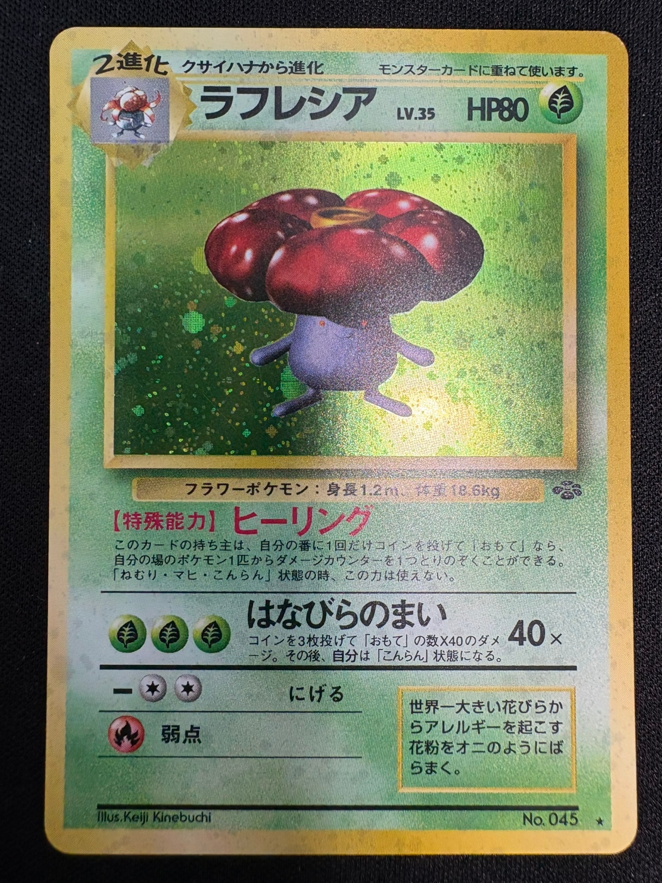 【状態C】ラフレシアLv.35[★](No.045)