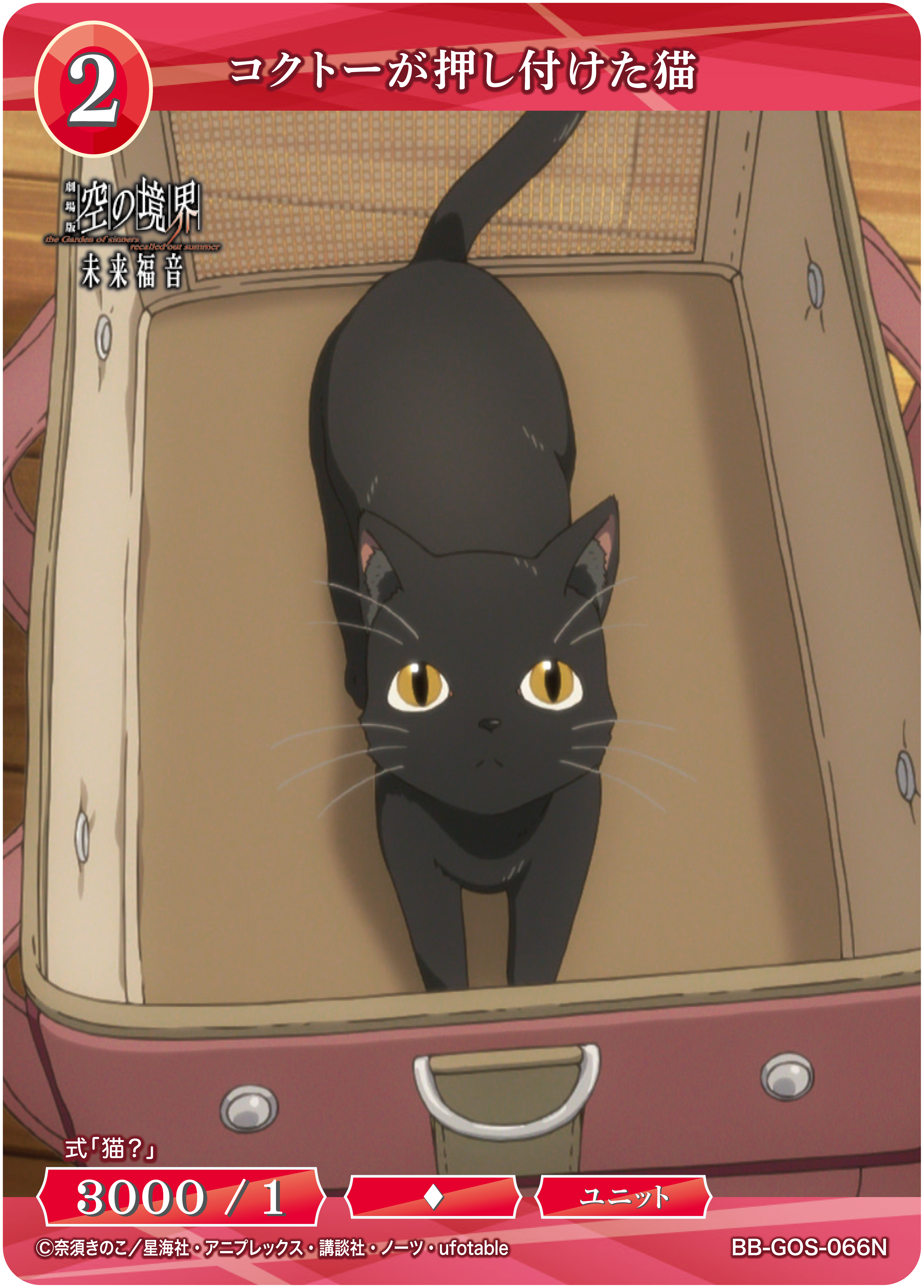 猫B 最終値下げしました！ 猫 B 画像1 + 9 最終値下げしました！ - メルカリ