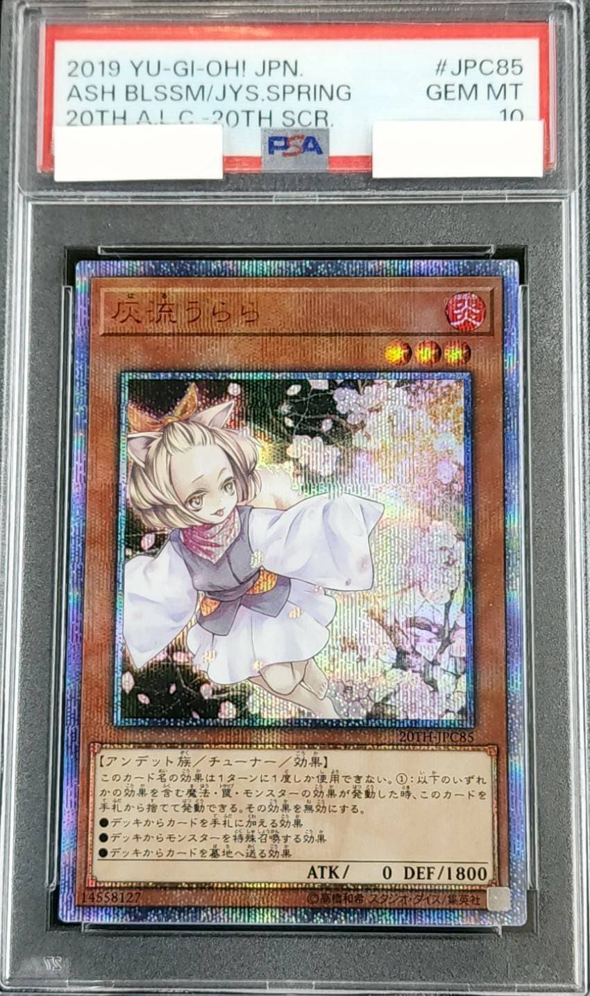 ポケットモンスター スペシャル 帯付き 2巻 GBS鑑定grade6.0 ポケットモンスターXY&Z エックスワイ アンド ゼット 全16枚 XY