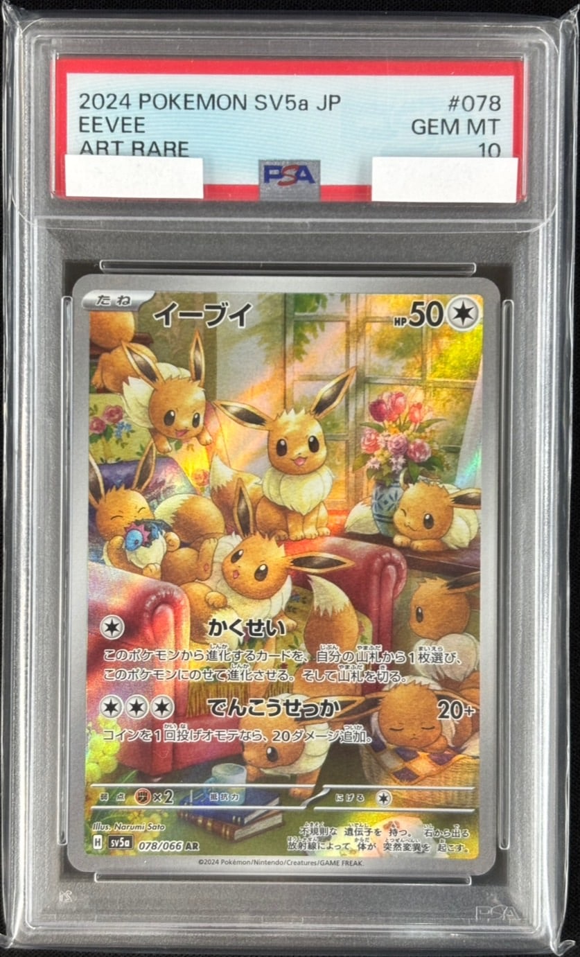 コレクション品