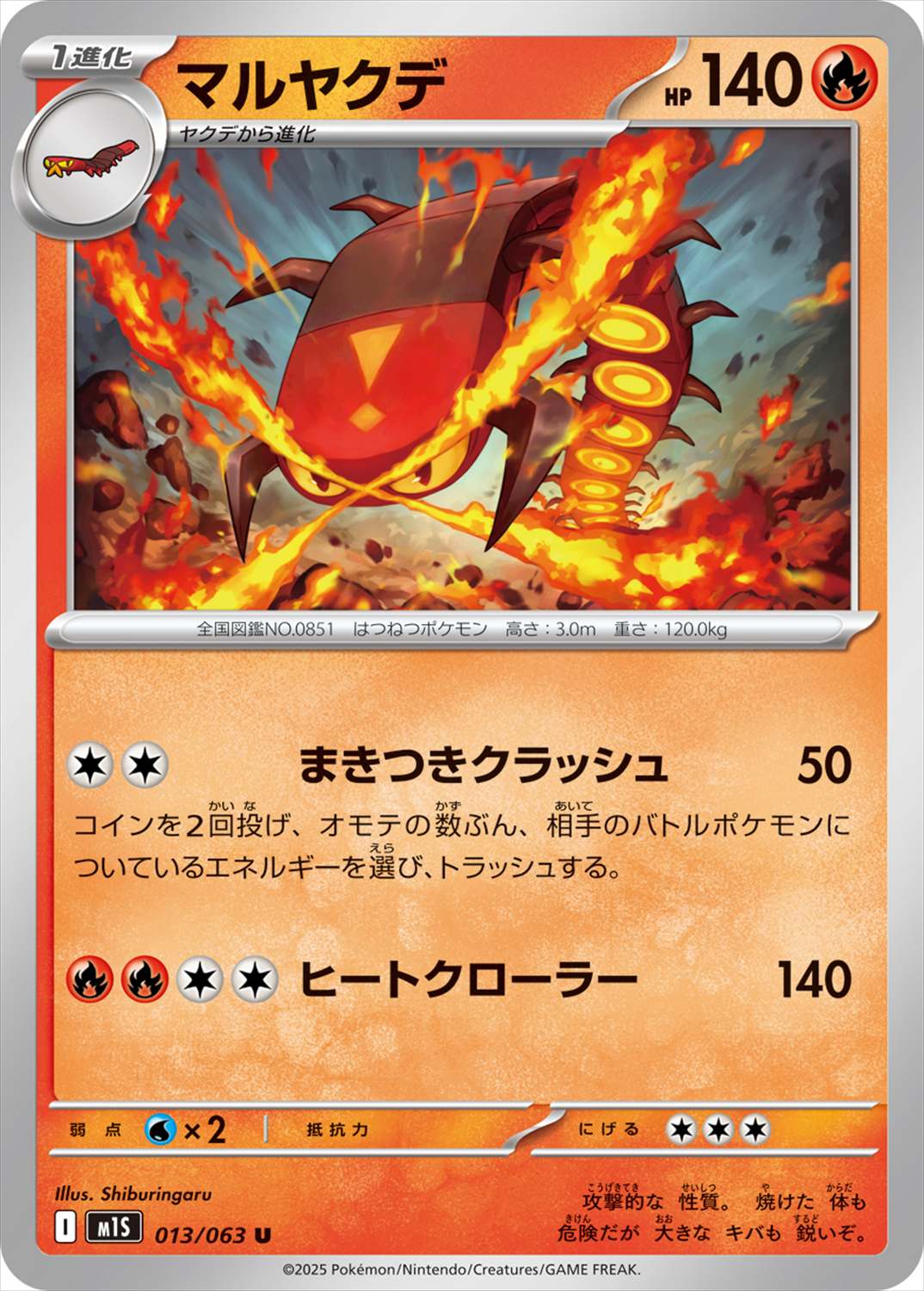 マルヤクデ[U](M1S-013/063)