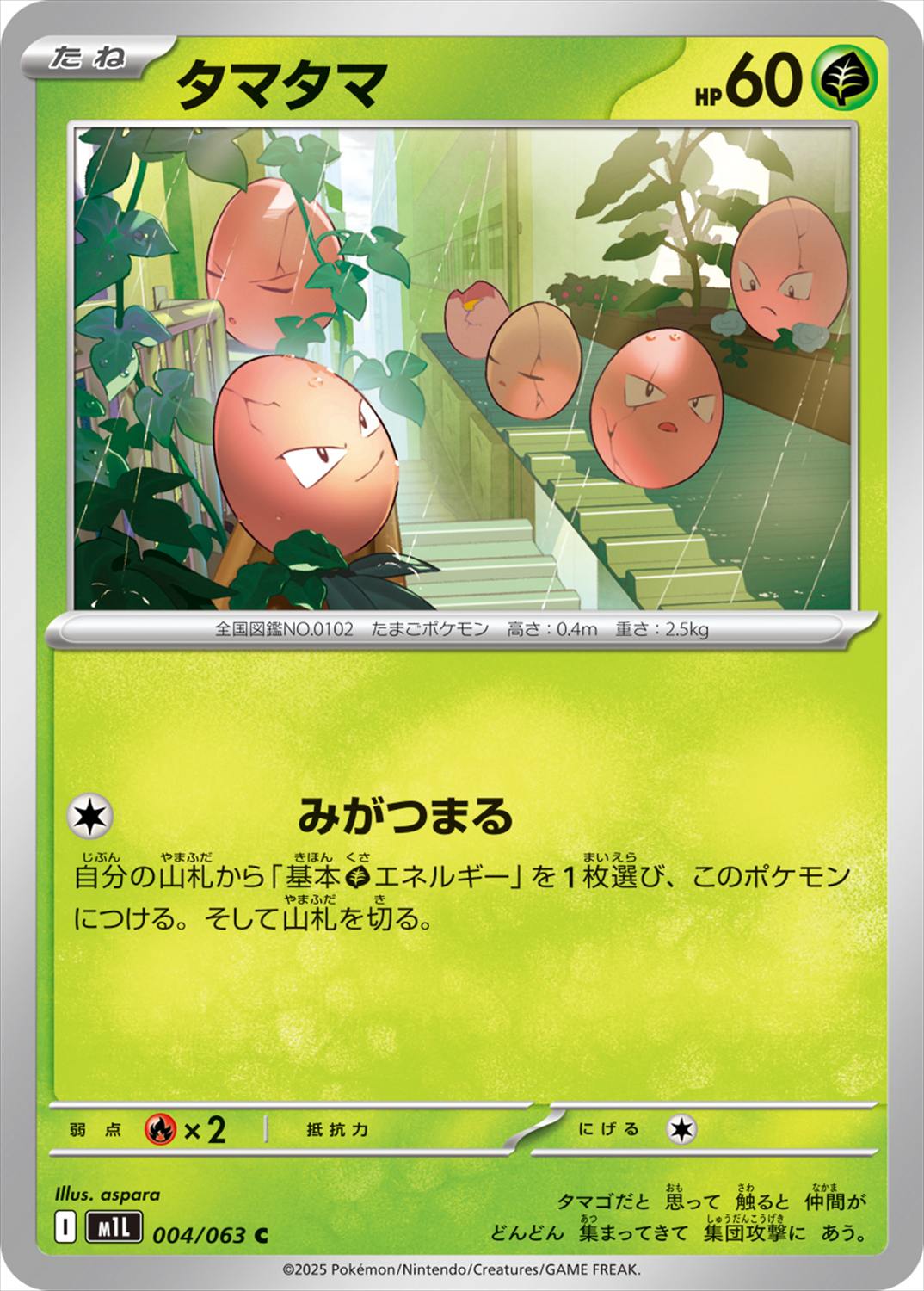 タマタマ[C](M1L-004/063)