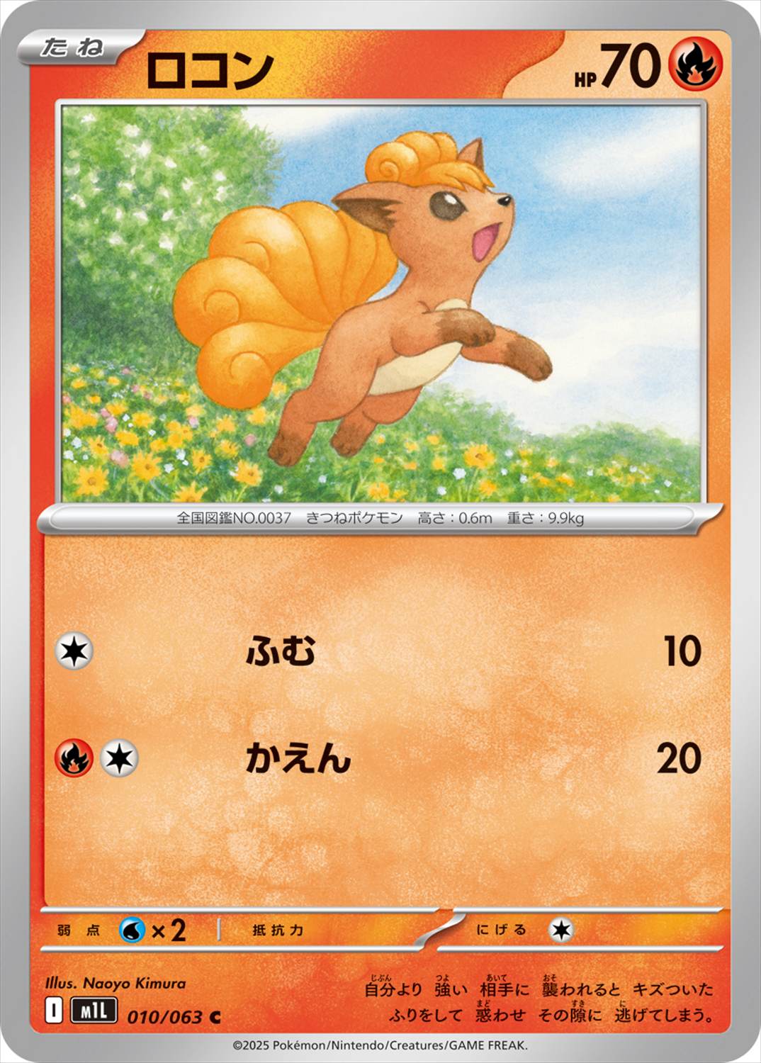 ロコン[C](M1L-010/063)
