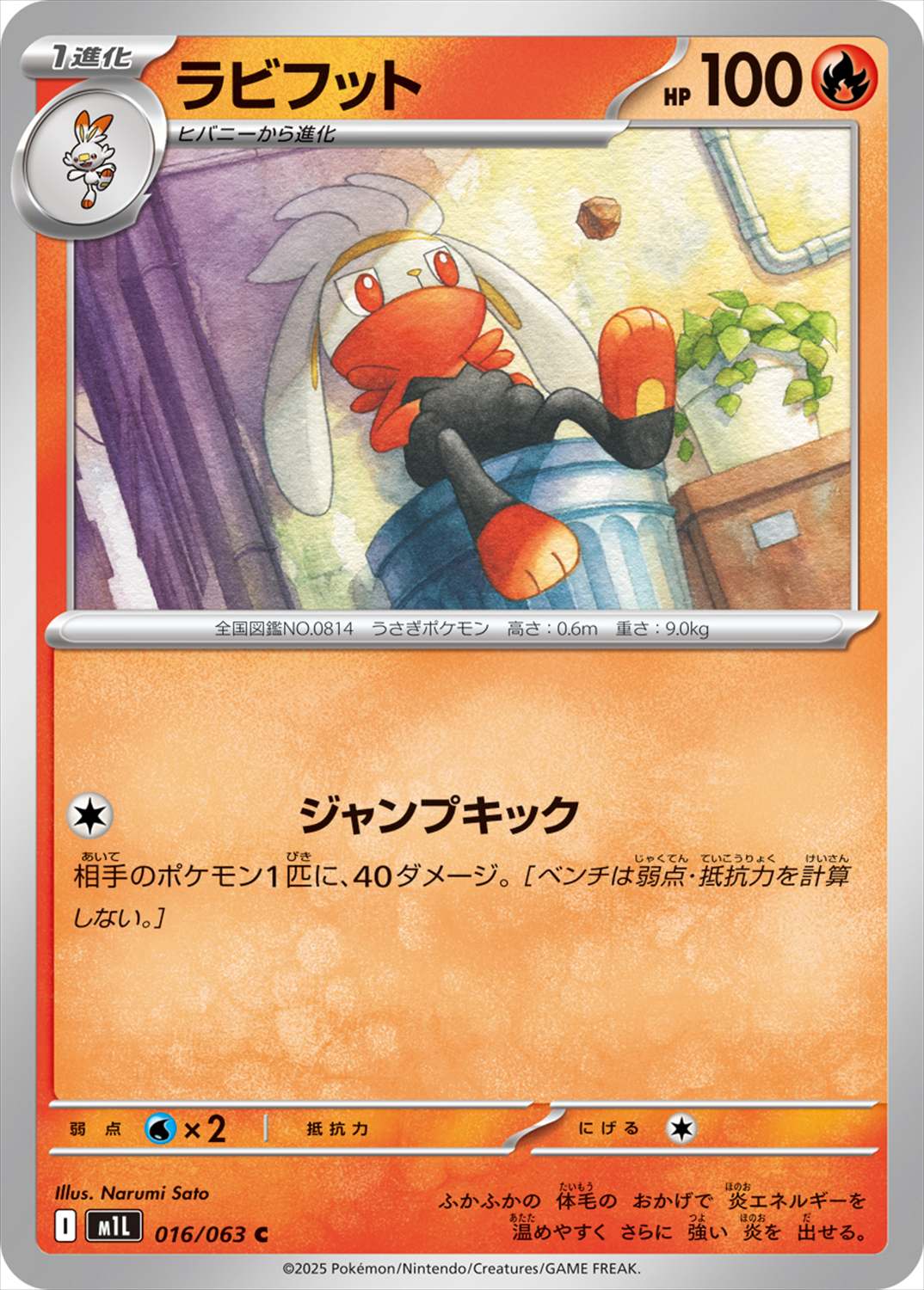 ラビフット[C](M1L-016/063)