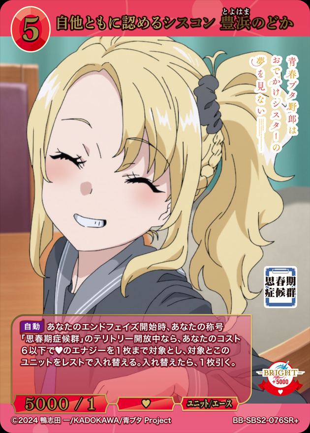 自他ともに認めるシスコン 豊浜のどか[SR+](BB-SBS2-076)