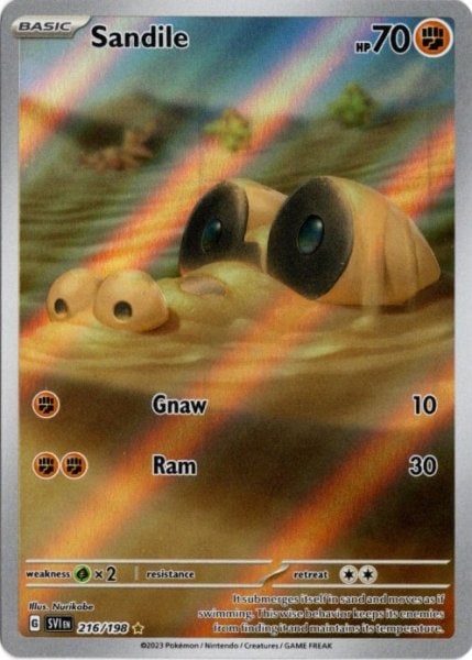 【状態B】Sandile/メグロコ《英語》[](216/198)