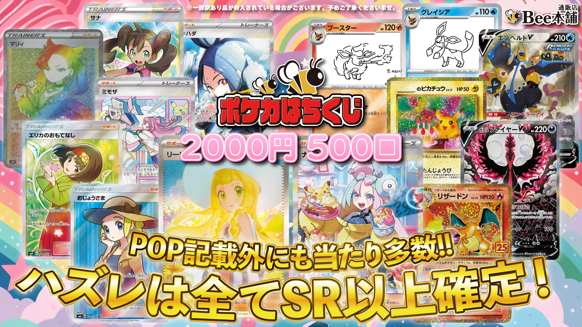 ポケカ 詰め合わせ ポケカ詰め合わせパックNo.225 | ポケモンカードゲーム