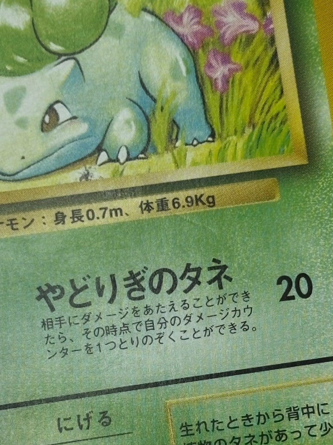 状態C】フシギダネ Lv.13 《旧裏/マーク無し》[](No.001) | ポケモン